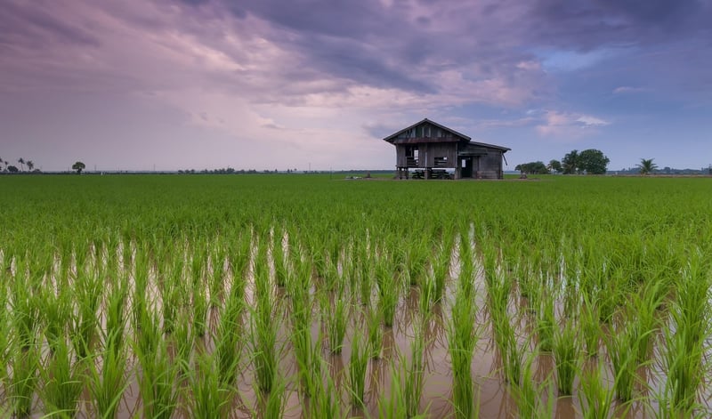 Countryside Farm